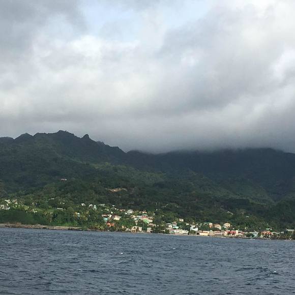 Meet your Posher, Rob - Picture 1 of 1